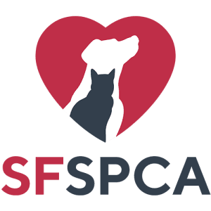 SF SPCA