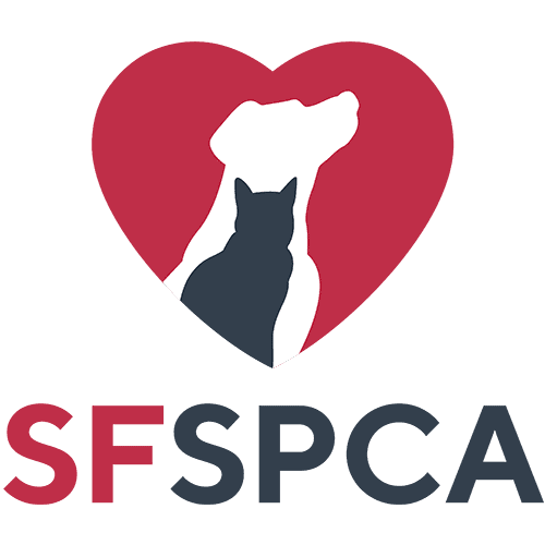 SF SPCA