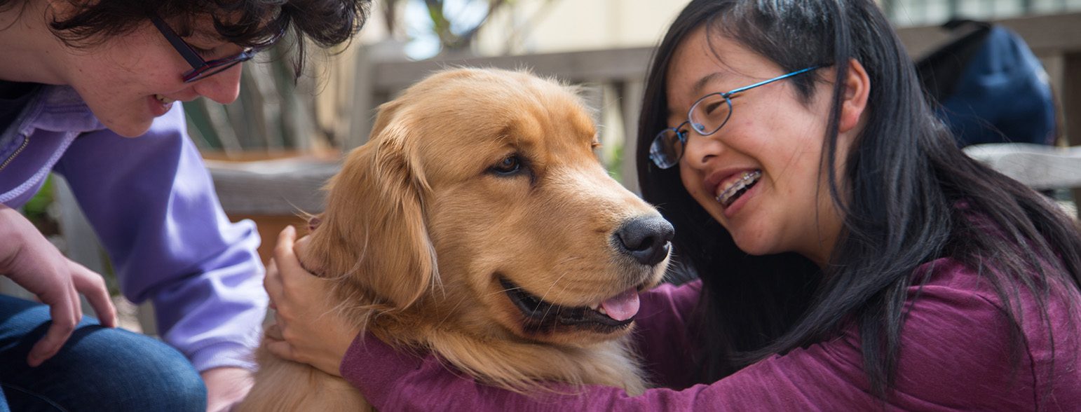 San Francisco SPCA Animal Assisted Therapy Program