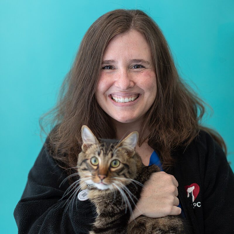 San Francisco SPCA Dr. Alison Gerkin Headshot