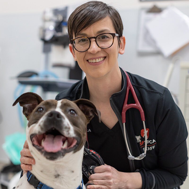 San Francisco SPCA Dr. Amie Knieper with dog