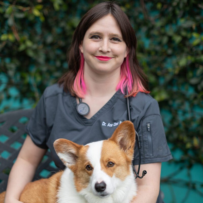 San Francisco SPCA Dr. Ana Clara Munoz Headshot