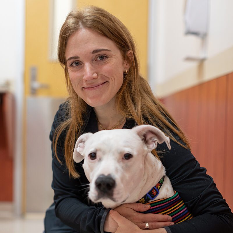 San Francisco SPCA Veterinarian Dr. Anna Walker