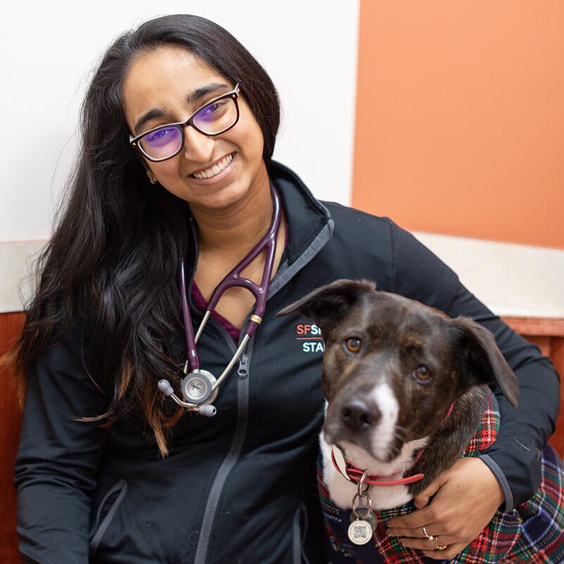 San Francisco SPCA Dr. Divya Ravichandran