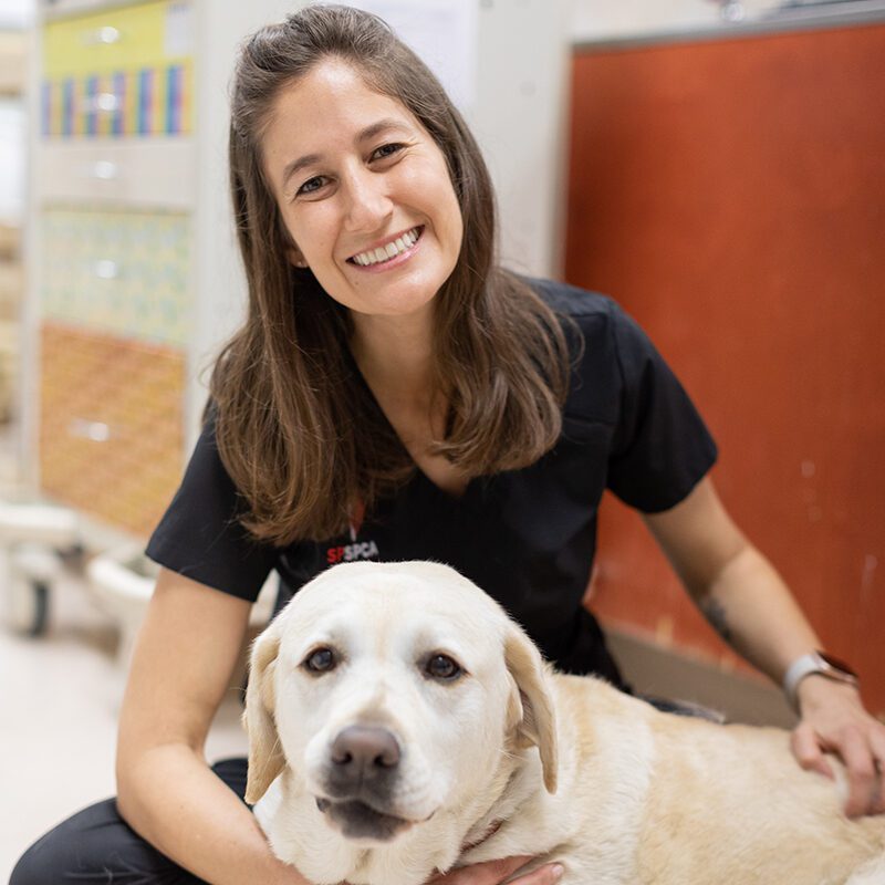 San Francisco SPCA Dr. Emily Young with dog
