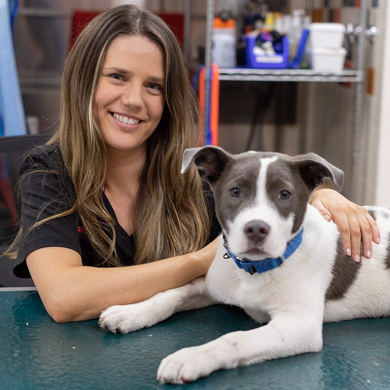 San Francisco SPCA Dr. Maggie Belshaw with dog