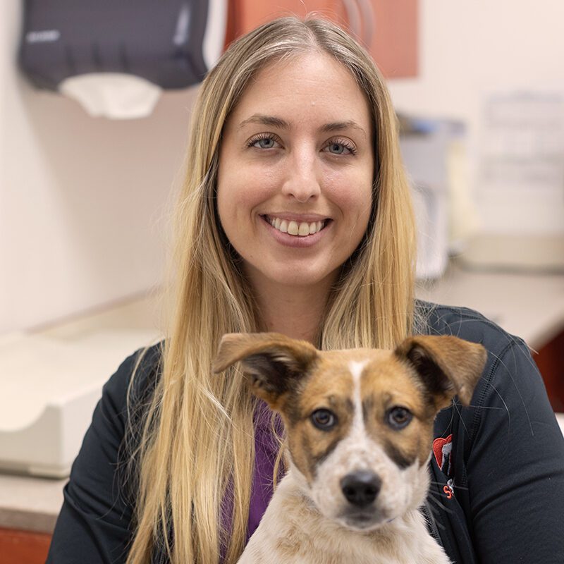 San Francisco SPCA Dr. Marissa Woodall-Johnson