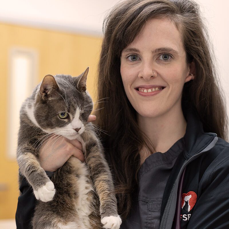 San Francisco SPCA Veterinarian Dr. Melanie Glass