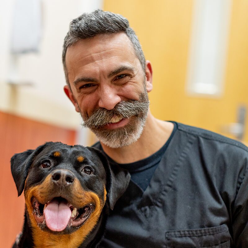 San Francisco SPCA Dr. Nathan Cote