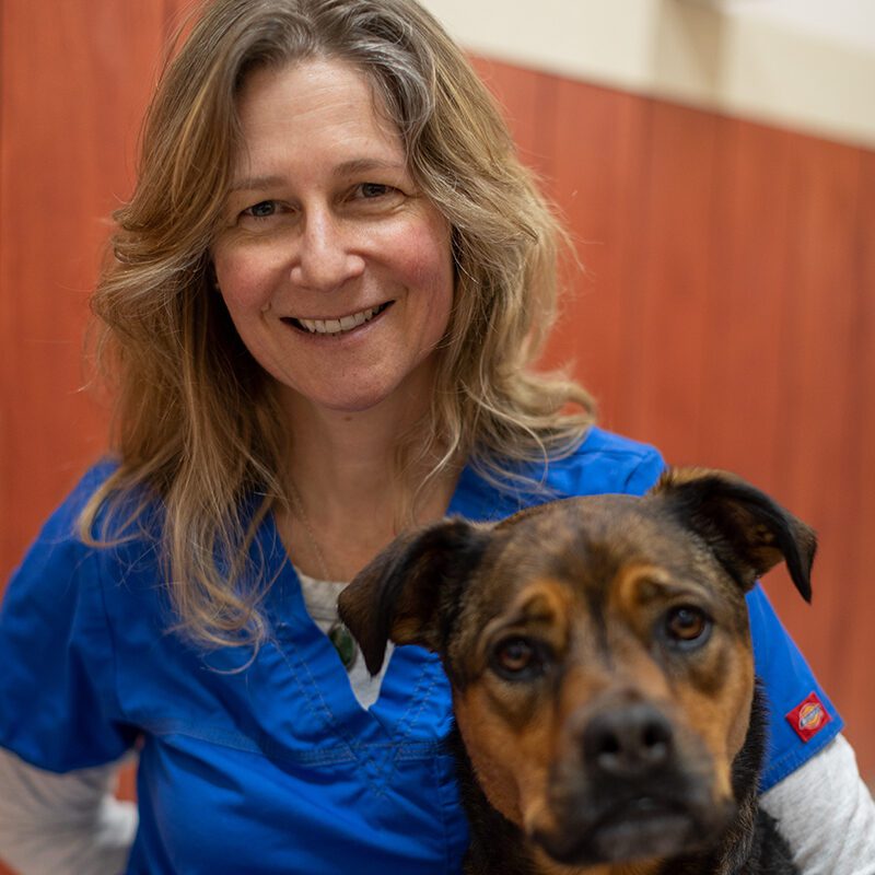 San Francisco SPCA Dr. Nicolette Zarday