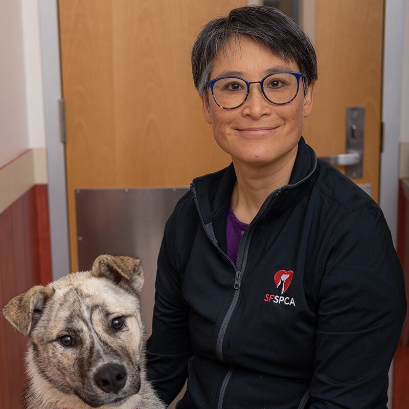 San Francisco SPCA Dr. Sheryl Owyang
