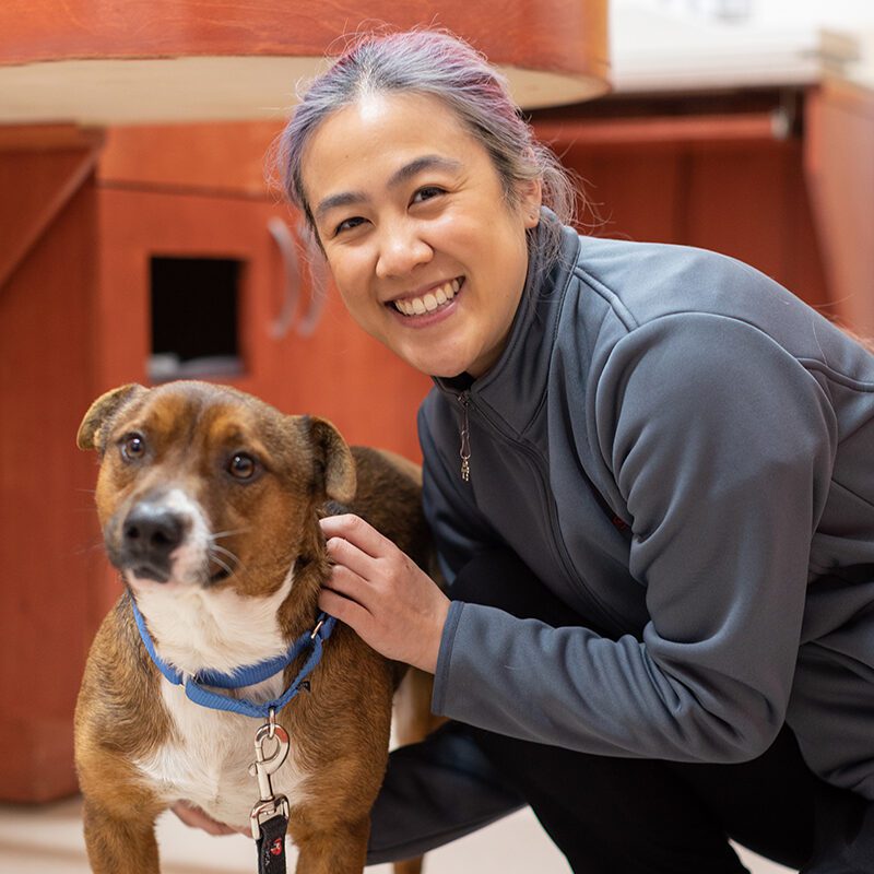 San Francisco SPCA Veterinarian Dr. Shirley Chan