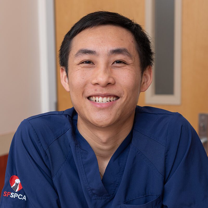 San Francisco SPCA Dr. Wesley Leung