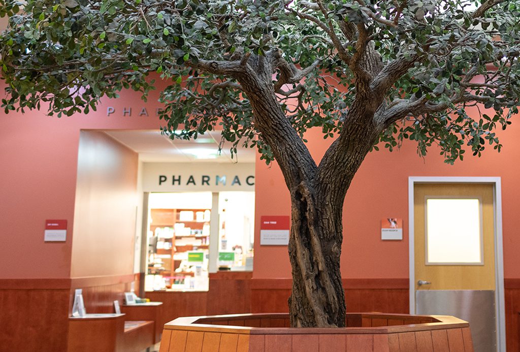 San Francisco SPCA Pharmacy Counter with tree inside hospital lobby