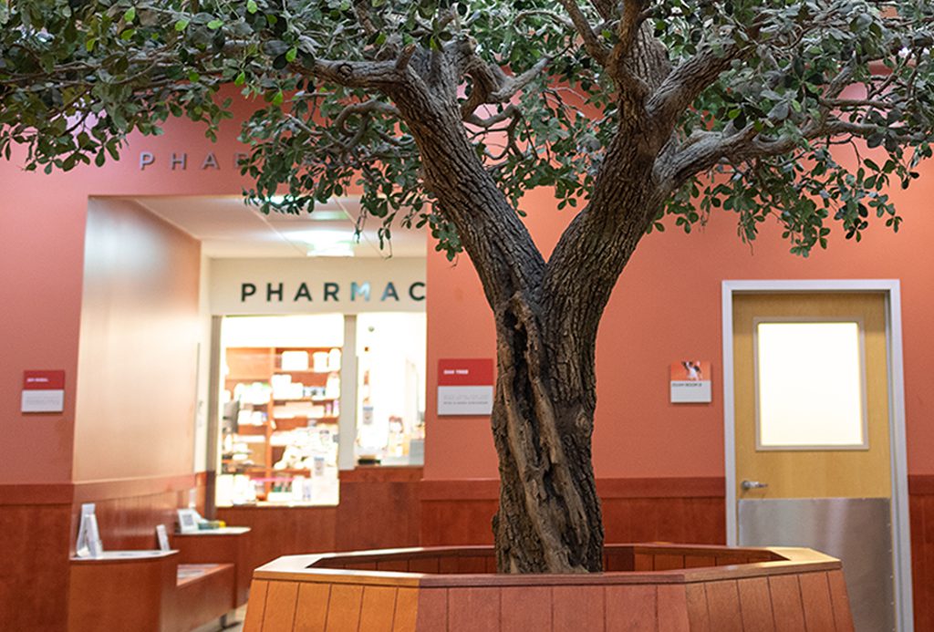 San Francisco SPCA pharmacy tree inside hospital lobby
