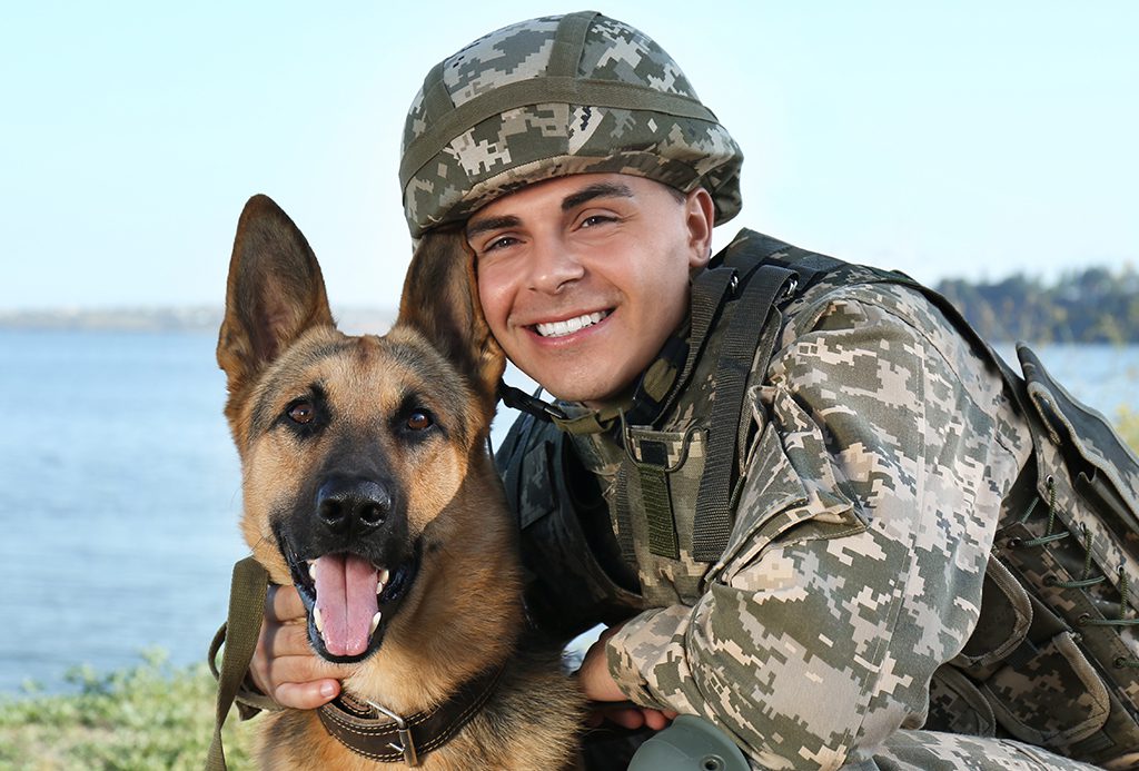 San Francisco SPCA some adoptions free for veterans