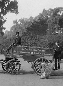 San Francisco SPCA timeline 1905 animal control