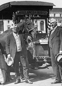 San Francisco SPCA timeline 1918 Lottie G fire department horse