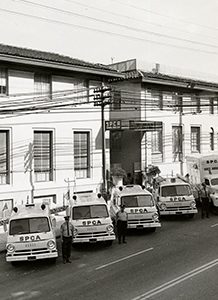 San Francisco SPCA timeline 1963 building exterior