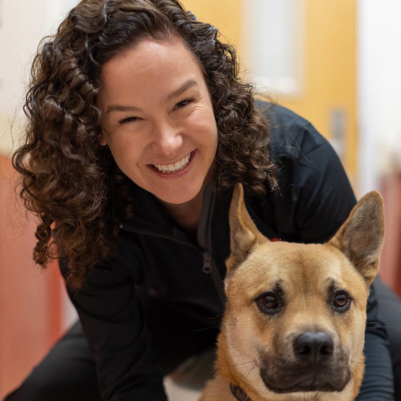 San Francisco SPCA Veterinarian Dr. Julie Lowe