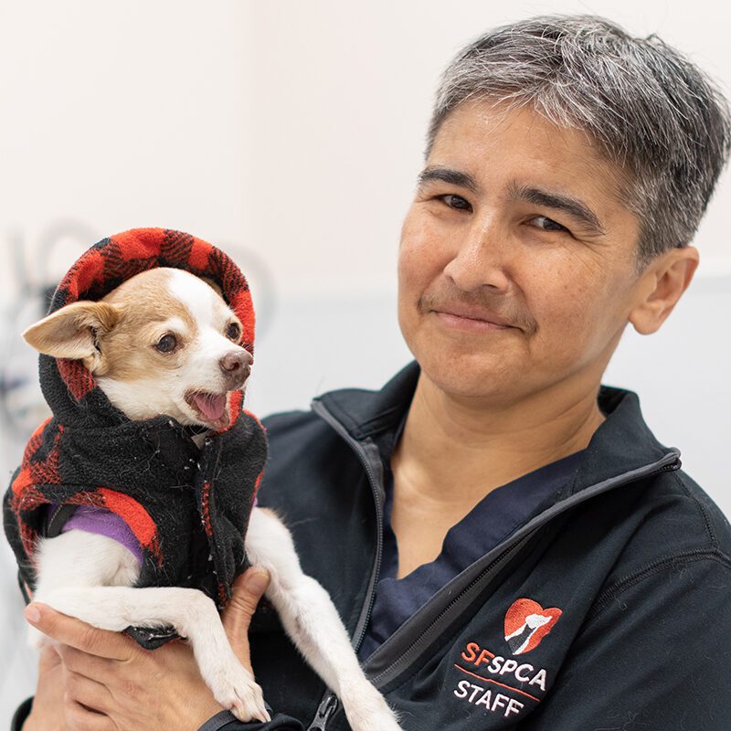 San Francisco SPCA Veterinarian Dr. Kathy Tyson
