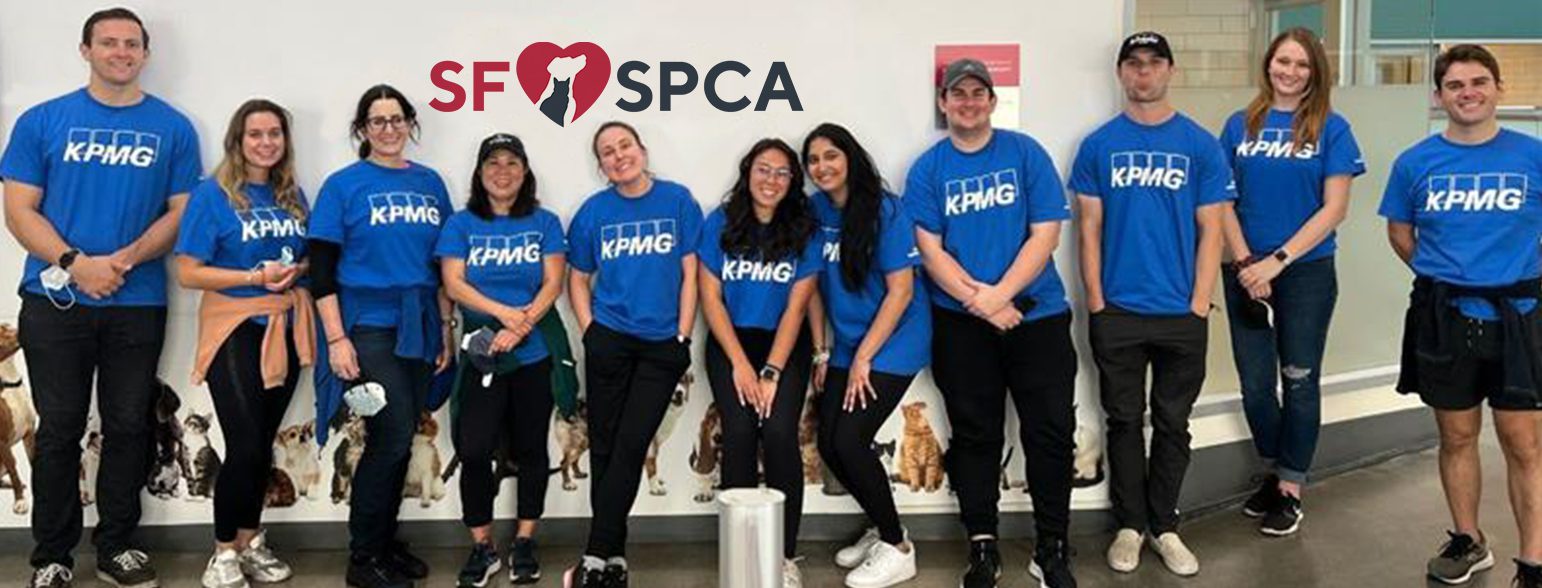 San Francisco SPCA Workplace Giving KPMG