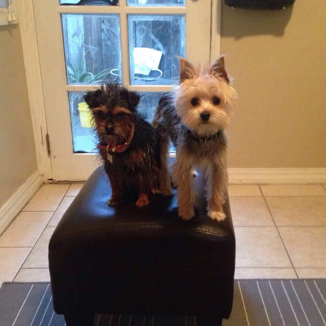 Lola and Beny - Photo 1