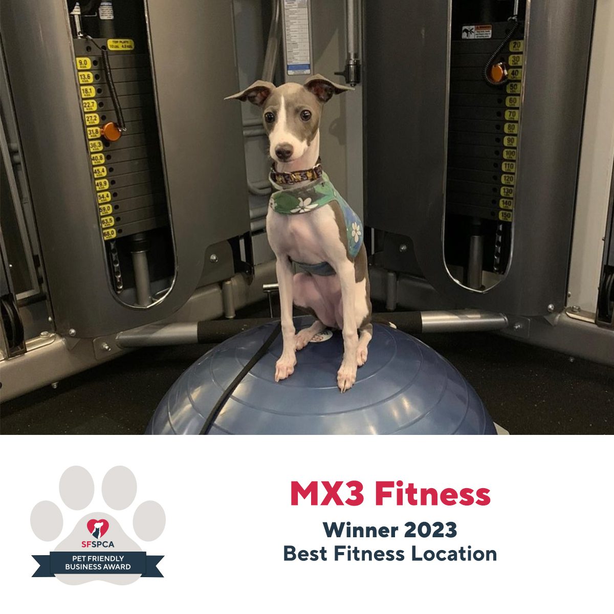 MX3 FitnessWinner 2023Best Fitness Location