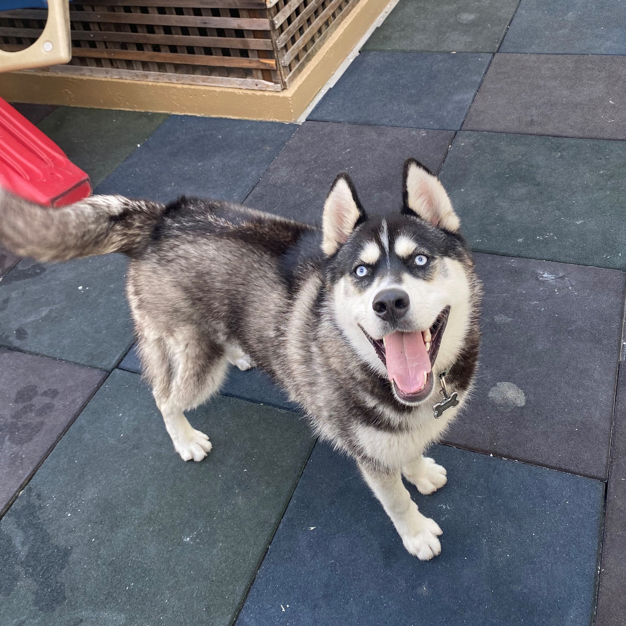 Aquiles - Photo 1