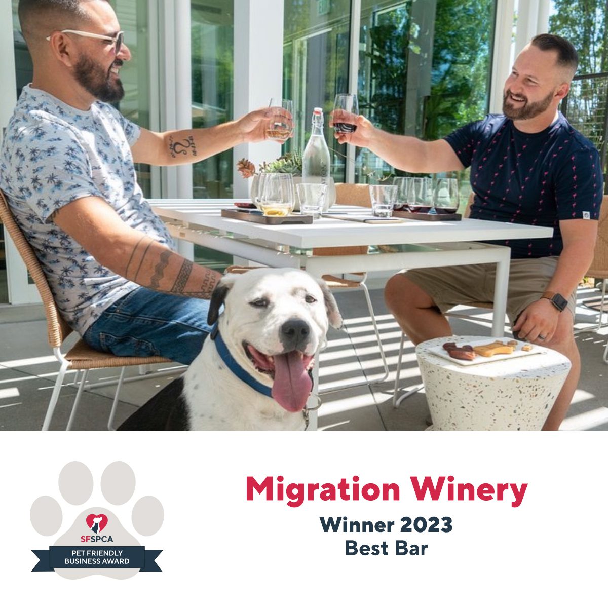 Migration WineryWinner 2023Best Bar