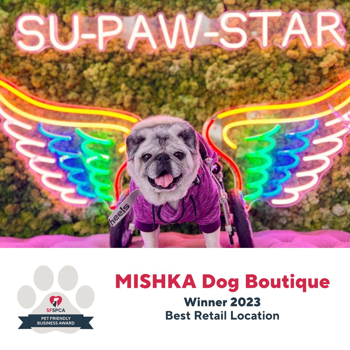 MISHKA Dog BoutiqueWinner 2023Best Retail Location