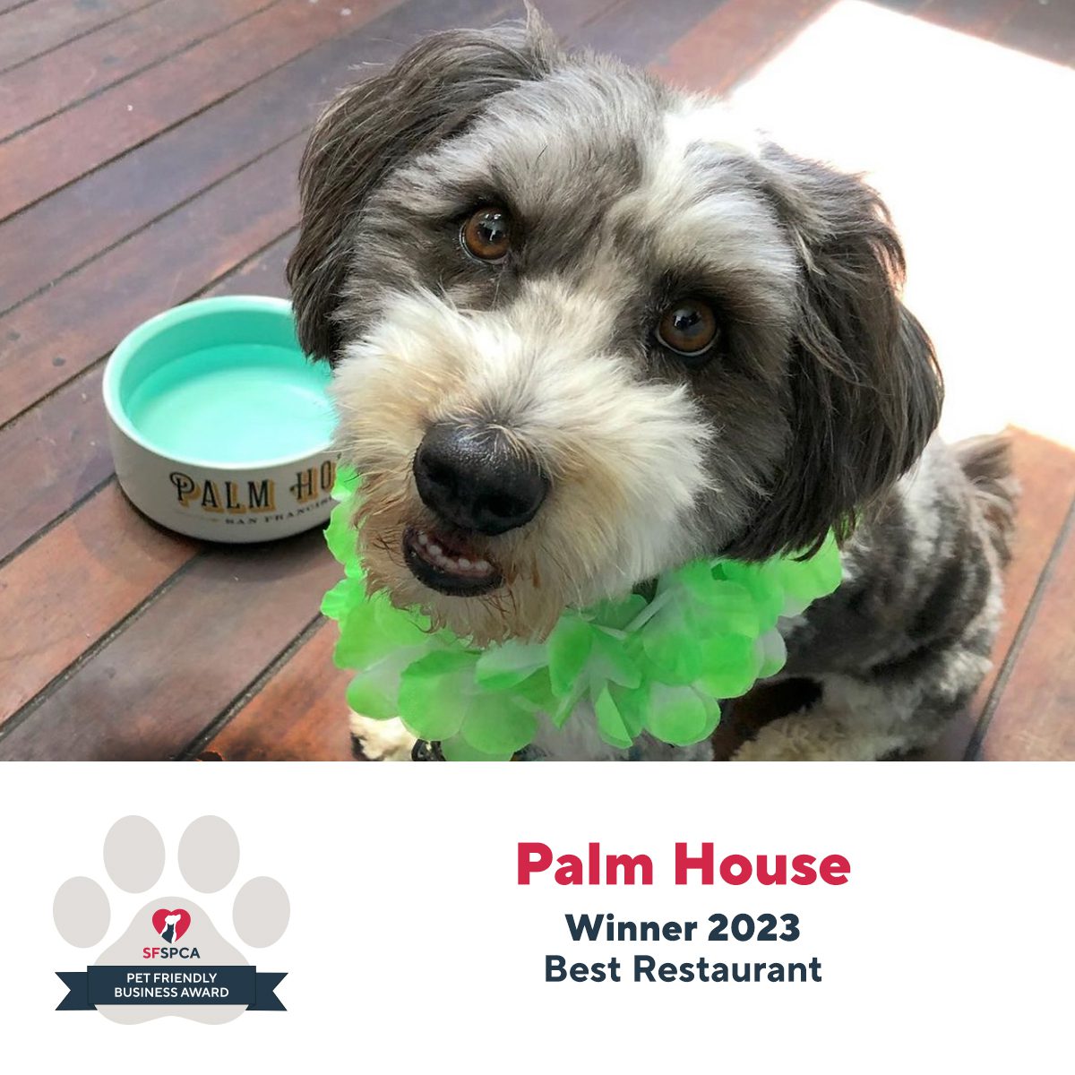 Palm House  Winner 2023  Best Restaurant