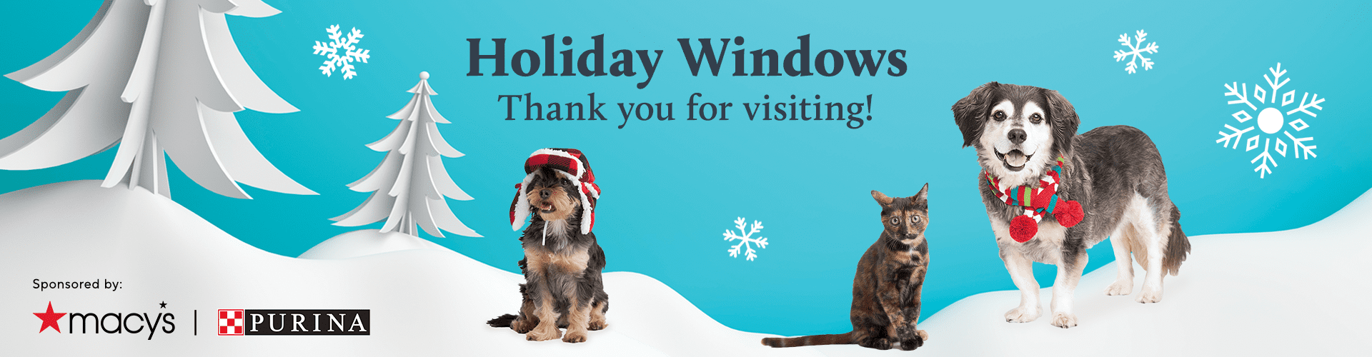 Thank You For Visiting SF SPCA Holiday Windows 2022