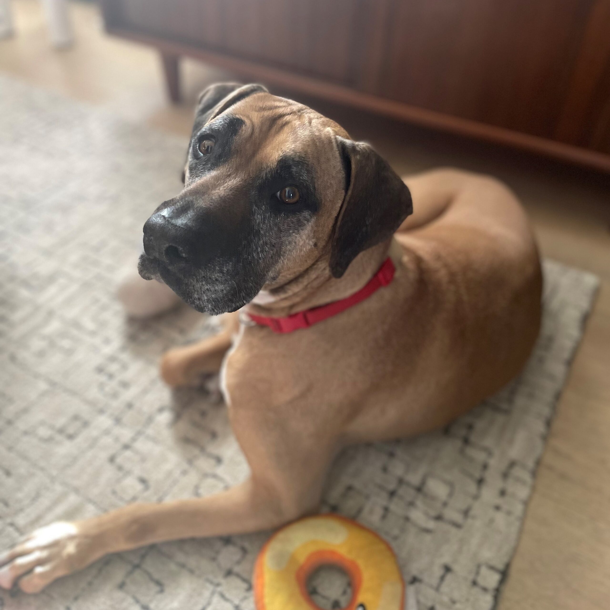 Winnie - Photo 1