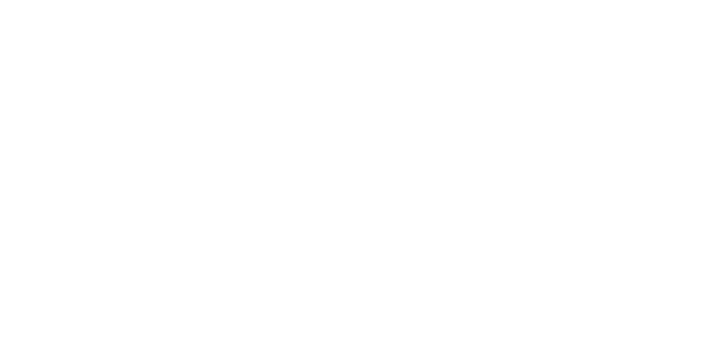 Fox Local Stream Logo