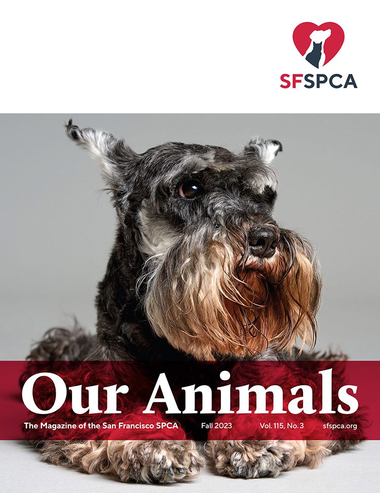 SF SPCA Our Animals Magazine Fall 2023