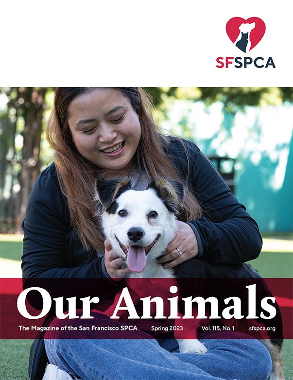 SF SPCA Our Animals Spring 2023 Magazine