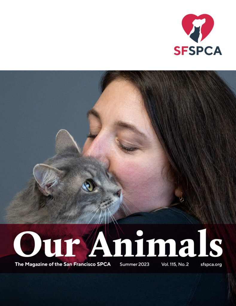 SF SPCA Our Animals Magazine Summer 2023