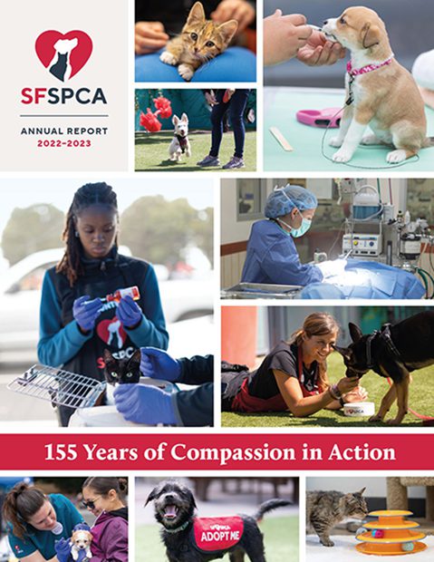 San Francisco SPCA Annual Report 2022-2023—155 Years of Compassion in Action