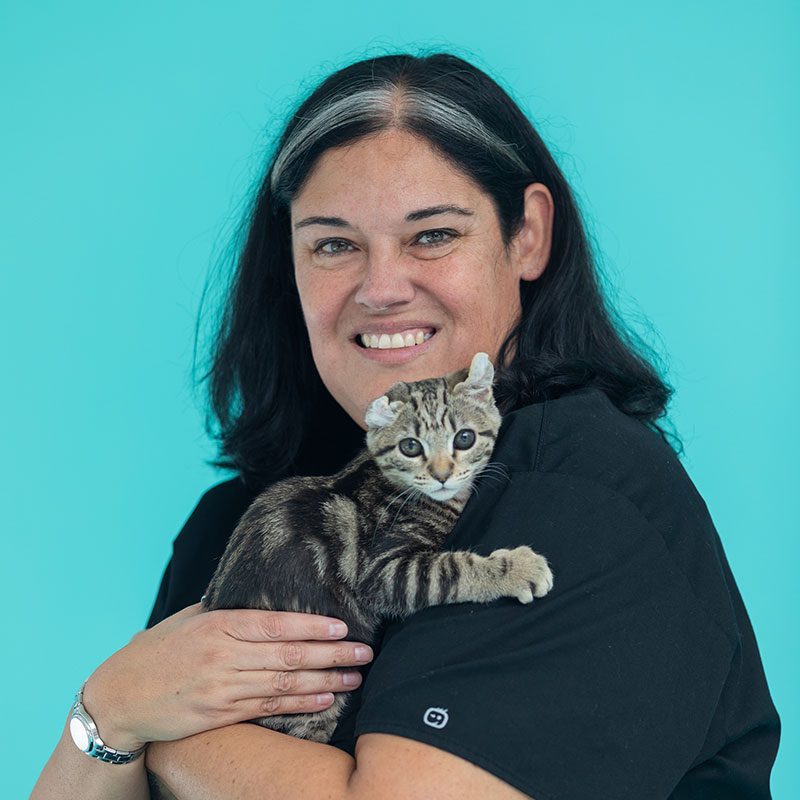 San Francisco SPCA Chief Medical Officer Dr. Jena Valdez with cat