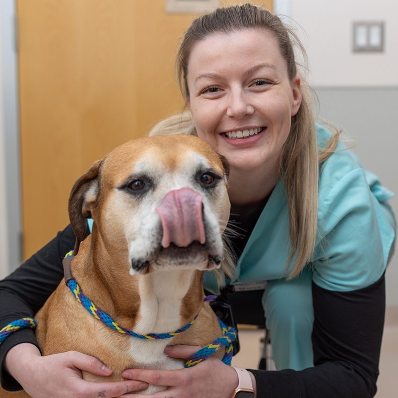 San Francisco SPCA Veterinarian Billy Anderson