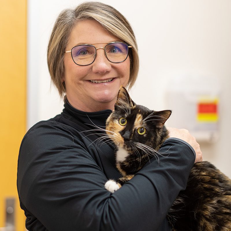San Francisco SPCA Mentoring Veterinarian Melanie Ellis