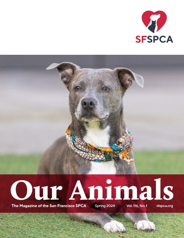 San Francisco SPCA Our Animals Spring 2024 Magazine