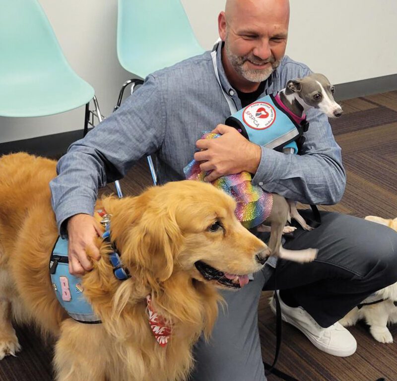 SF SPCA Animal Assisted Therapy Dogs at Corporate Cuddle