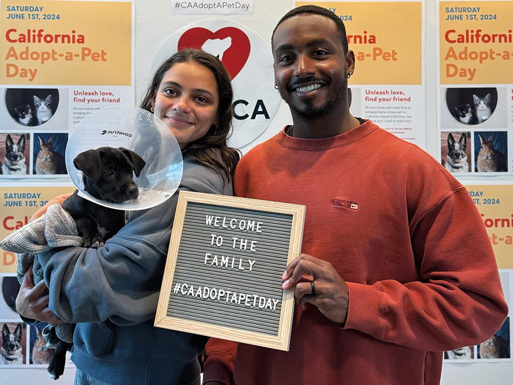 Couple with black puppy wearing cone on California Adopt-A-Pet Day at SF SPCA