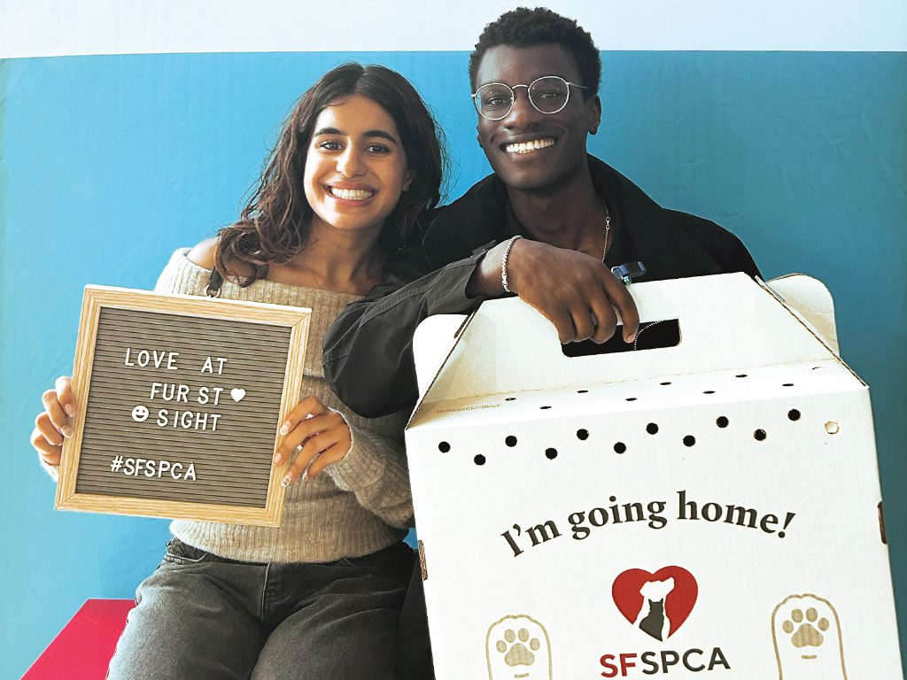 Couple adopting cat located inside SF SPCA transport box