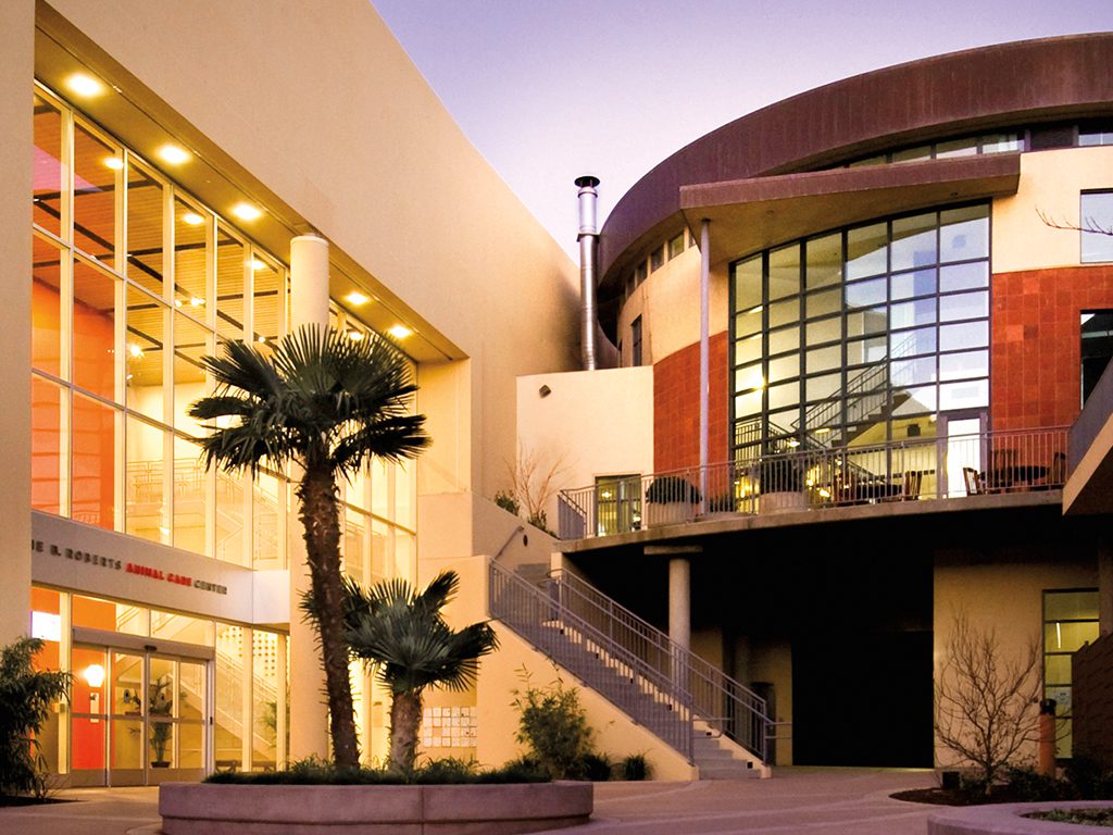 SF SPCA Courtyard in early morning