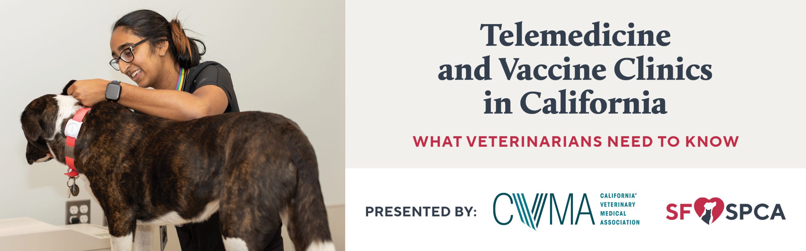 ADV00010_sfspca-cvma-webinar-banner-r2-