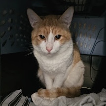 Jerry Curl - Photo 2