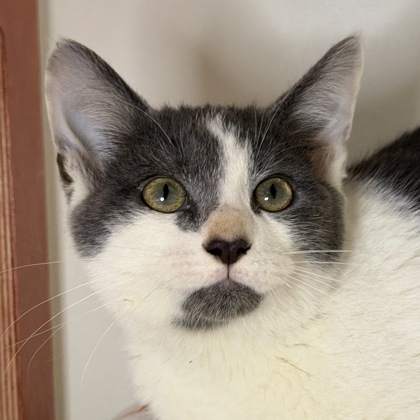 ClawClaw Jones - Photo 3